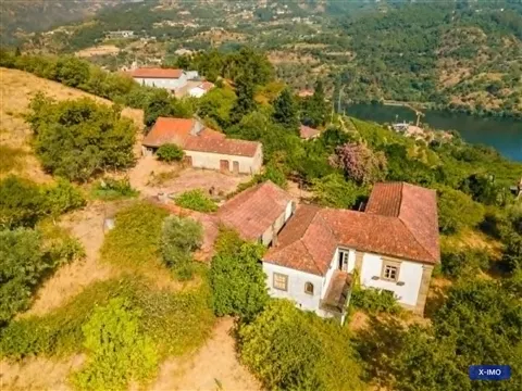 Quinta T7