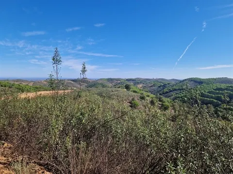 Terreno