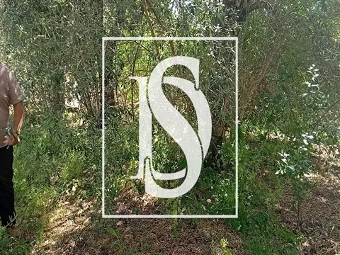 Terreno Rústico