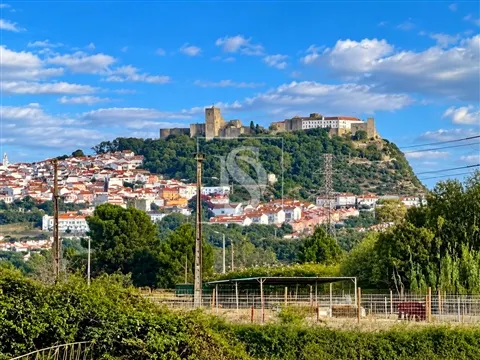 Terreno Rústico 7.750 m² com Potencial Construtivo | Quinta do Anjo, Palmela