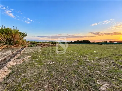 Terreno Rústico 7.750 m² com Potencial Construtivo | Quinta do Anjo, Palmela