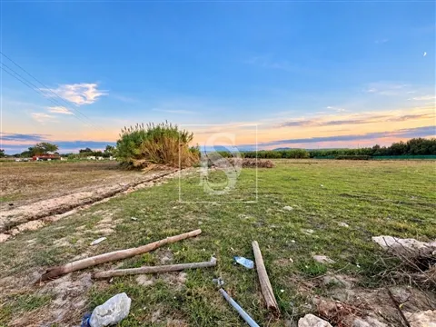Terreno Rústico 7.750 m² com Potencial Construtivo | Quinta do Anjo, Palmela