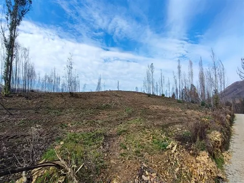 Terreno