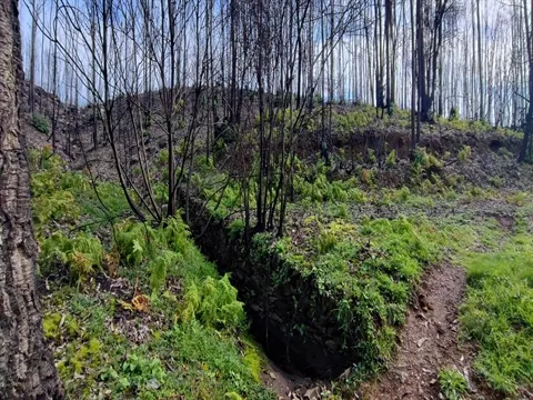Terreno