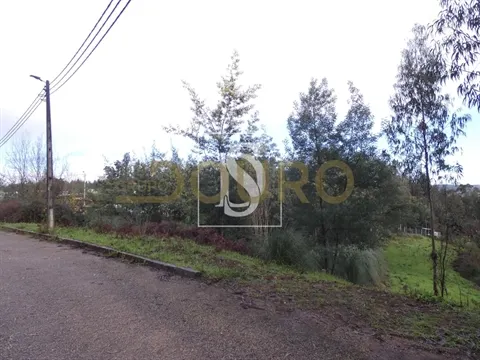 Terreno Urbano