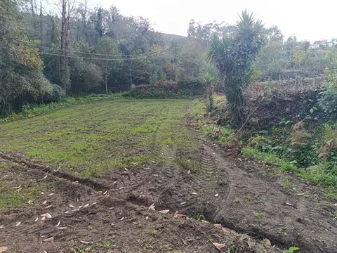 Terreno