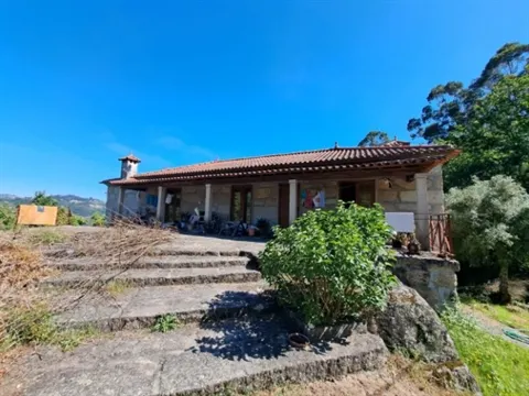 Quinta T4