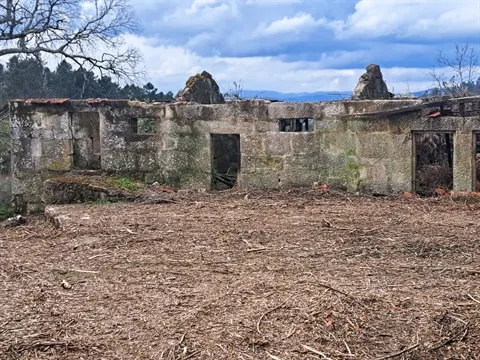 Farm