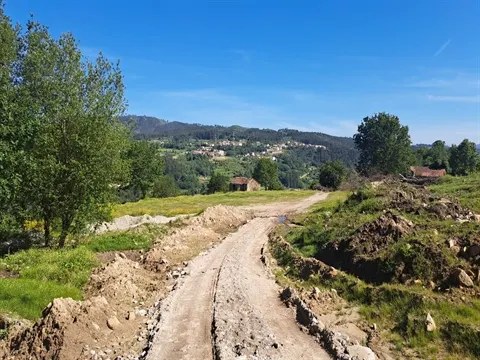 Quinta