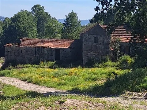Quinta