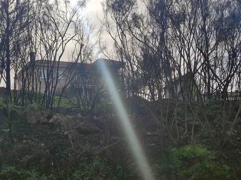 Terreno Urbano