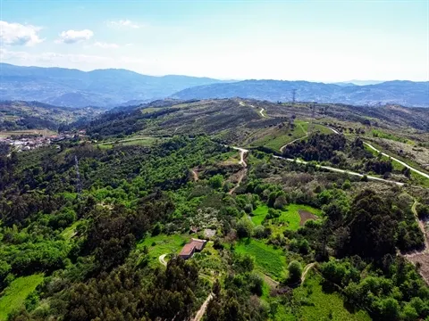Quinta