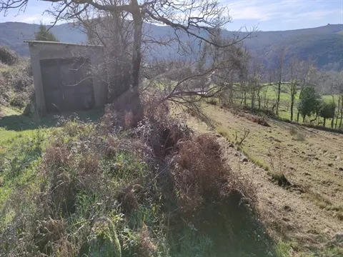 Terreno Rústico