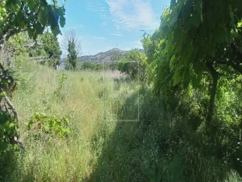 Terreno Rústico