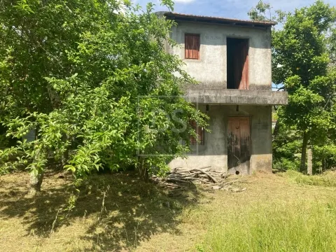 Quinta T2