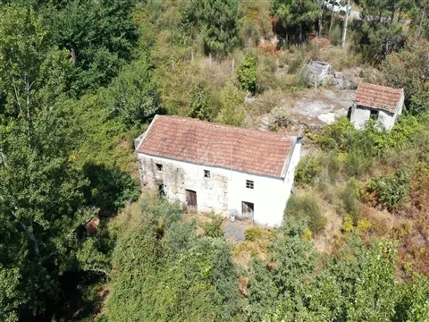 Quinta T2