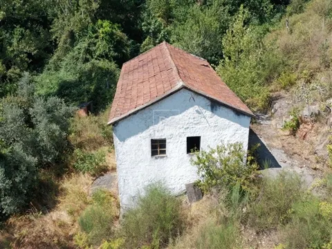 Quinta T2