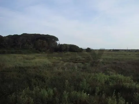 Смешанная земля