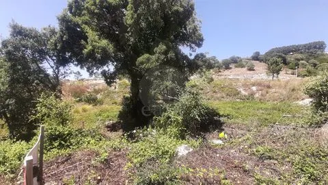 Piece of Real Estate T6