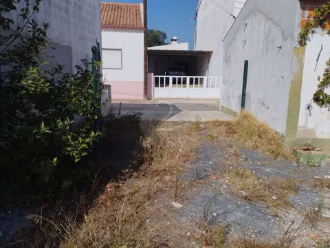 &#19968;&#27004;&#21035;&#22661;&#22312;600&#24179;&#26041;&#31859;&#30340;&#22303;&#22320;&#19978;&#24674;&#22797;&#65292;&#38463;&#38647;&#26391;&#65292;&#22307;&#22320;&#20122;&#21733;&#26460;&#21345;&#22622;&#22982;