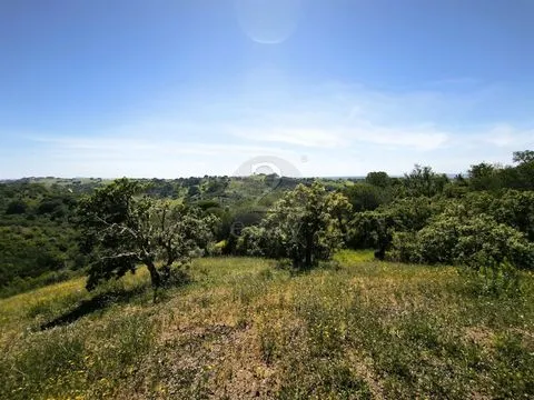Terrain rustique de 11,95 ha avec faisabilité de construction sur la côte de l’Alentejo