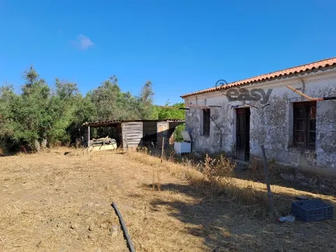 &#32500;&#36842;&#30422;&#25289; 6.62 &#20844;&#39031;&#30340;&#28151;&#21512;&#22303;&#22320;&#19978;&#25554;&#20837;&#29992;&#20110;&#37325;&#24314;&#30340;&#24223;&#22687;&#25151;&#23627;