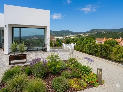 Luxury Single Storey Villa with Swimming Pool