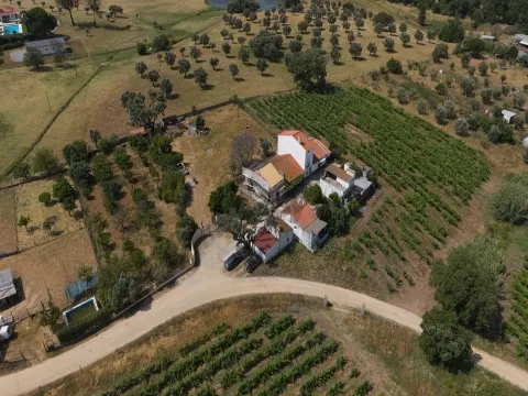 Сельскохозяйственная земля с оливковой рощей площадью 4500м2, Монтемор-о-Ново