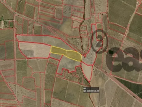 VINHA COM 1,87 HECTARES NA VIDIGUEIRA PARA VENDA