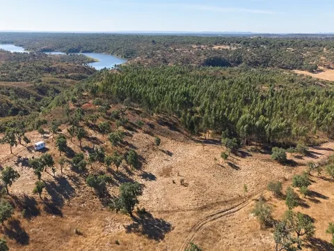 &#1057;&#1084;&#1077;&#1096;&#1072;&#1085;&#1085;&#1099;&#1081; &#1079;&#1077;&#1084;&#1077;&#1083;&#1100;&#1085;&#1099;&#1081; &#1091;&#1095;&#1072;&#1089;&#1090;&#1086;&#1082; &#1087;&#1083;&#1086;&#1097;&#1072;&#1076;&#1100;&#1102; 8250&#1084;2, &#1074;&#1086;&#1079;&#1084;&#1086;&#1078;&#1085;&#1086;&#1089;&#1090;&#1100; &#1089;&#1090;&#1088;&#1086;&#1080;&#1090;&#1077;&#1083;&#1100;&#1089;&#1090;&#1074;&#1072; &#1076;&#1086;&#1084;&#1072; 108&#1084;2, &#1040;&#1073;&#1077;&#1083;&#1072;, &#1040;&#1083;&#1077;&#1085;&#1090;&#1077;&#1078;&#1091;