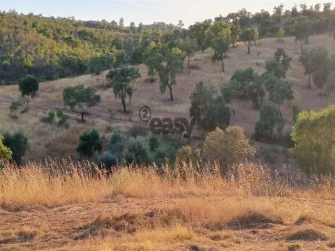 &#20301;&#20110;&#38463;&#23572;&#20811;&#29926;&#30340;&#20065;&#26449;&#22303;&#22320;&#65292;&#21344;&#22320; 6.82 &#20844;&#39031;&#65292;&#26377;&#24223;&#22687;&#21644;&#27700;&#20117;