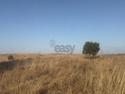 Terreno rústico com 4.5ha, Casével, Castro Verde