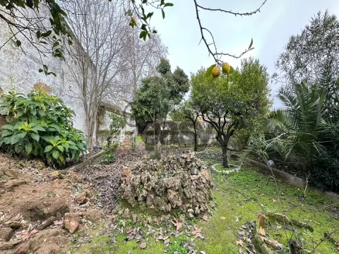 Casa Senhorial com 20 divisões na Vidigueira