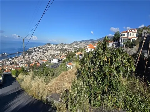 Terreno