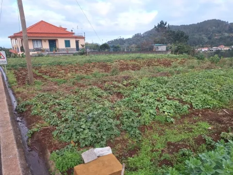 Madeira | Terreno com Potencial Extraordinário e Vista Mar
