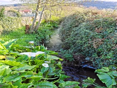 Terreno para construção ,1620m² em Covas: PIP Aprovado e Vista Serra d´Arga