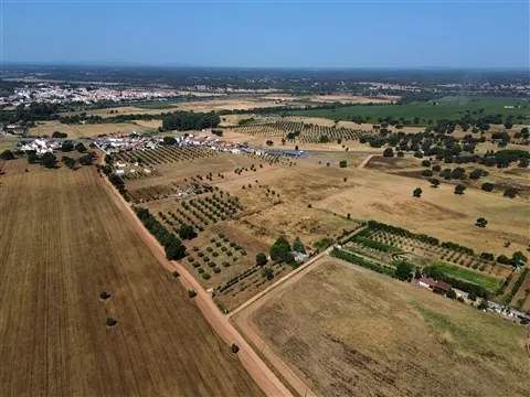 Propriedade rústica com 2,25 hectares integrada no regadio do Alqueva, Alvalade