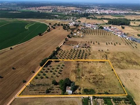 Propriedade rústica com 2,25 hectares integrada no regadio do Alqueva, Alvalade