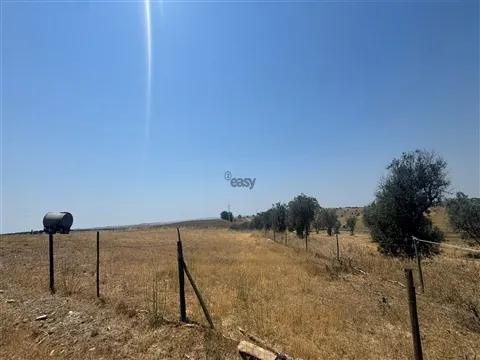 Terreno Rústico 83,375ha, Excelente Localização às Portas de Messejana