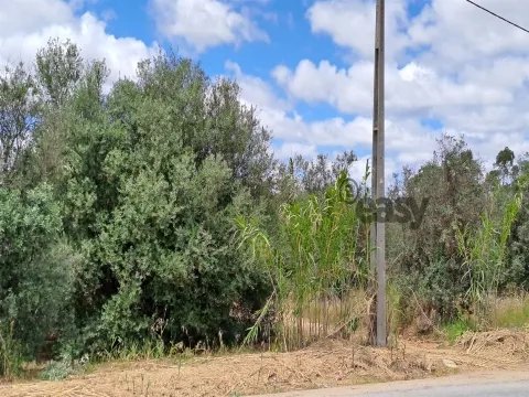 Terreno Rústico para Venda em Vidigueira, com 6 750 m².