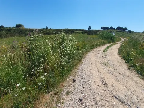 Terreno com 19.400 m²