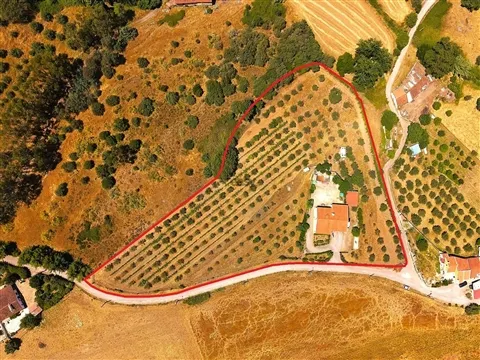 Uma Quinta onde o tempo abranda e a vida ganha outro significado, Alentejo