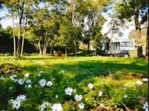 Appartement 2 Chambre(s)