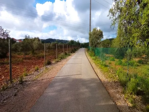 Terreno Rústico