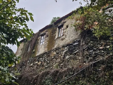 Quinta em socalcos Águeda para projeto turístico