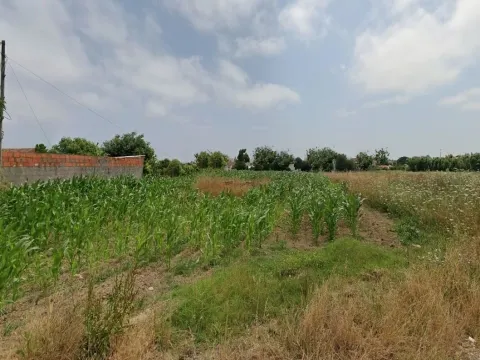 Land in Aveiro, São Bernardo,  to build a house