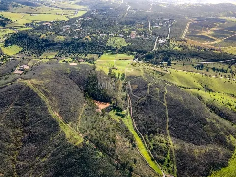 Quinta com Moradia e Terrenos de 12ha – Colinas Verdes, Lagos