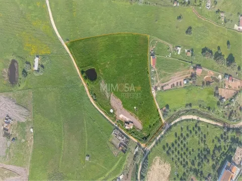 Refúgio Rural com 1 Hectare a 10 Minutos de Lagos