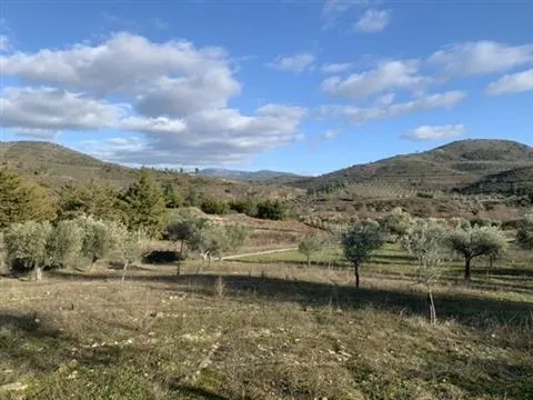 Terreno rústico com viabilidade de construção