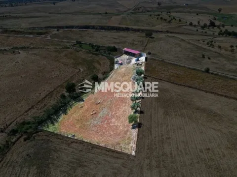 Quintinha - Aivados, Castro Verde